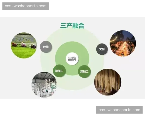 当前阶段数字化深度融合传统业务 重组产业基因
